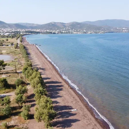 Themilia Beachfront, Luxury House *