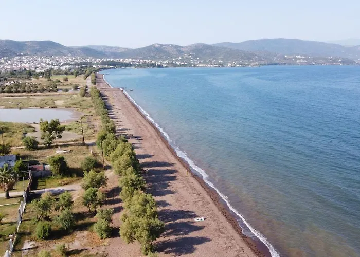 Themilia Beachfront, Luxury House *